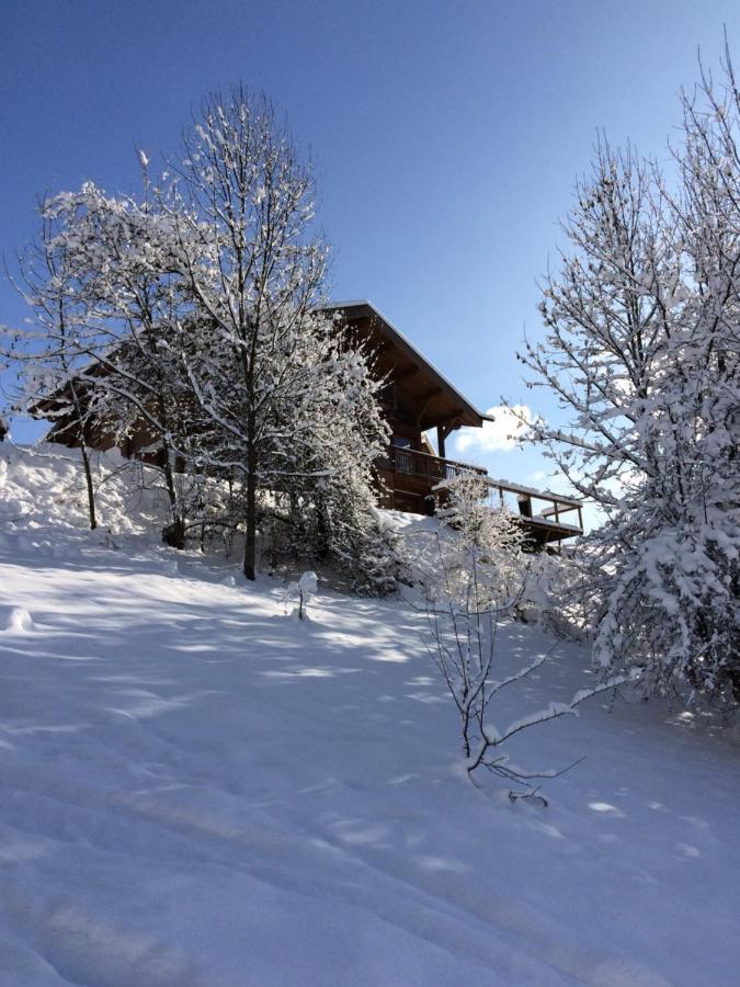 Chalet Chamois Villa Morzine Dış mekan fotoğraf